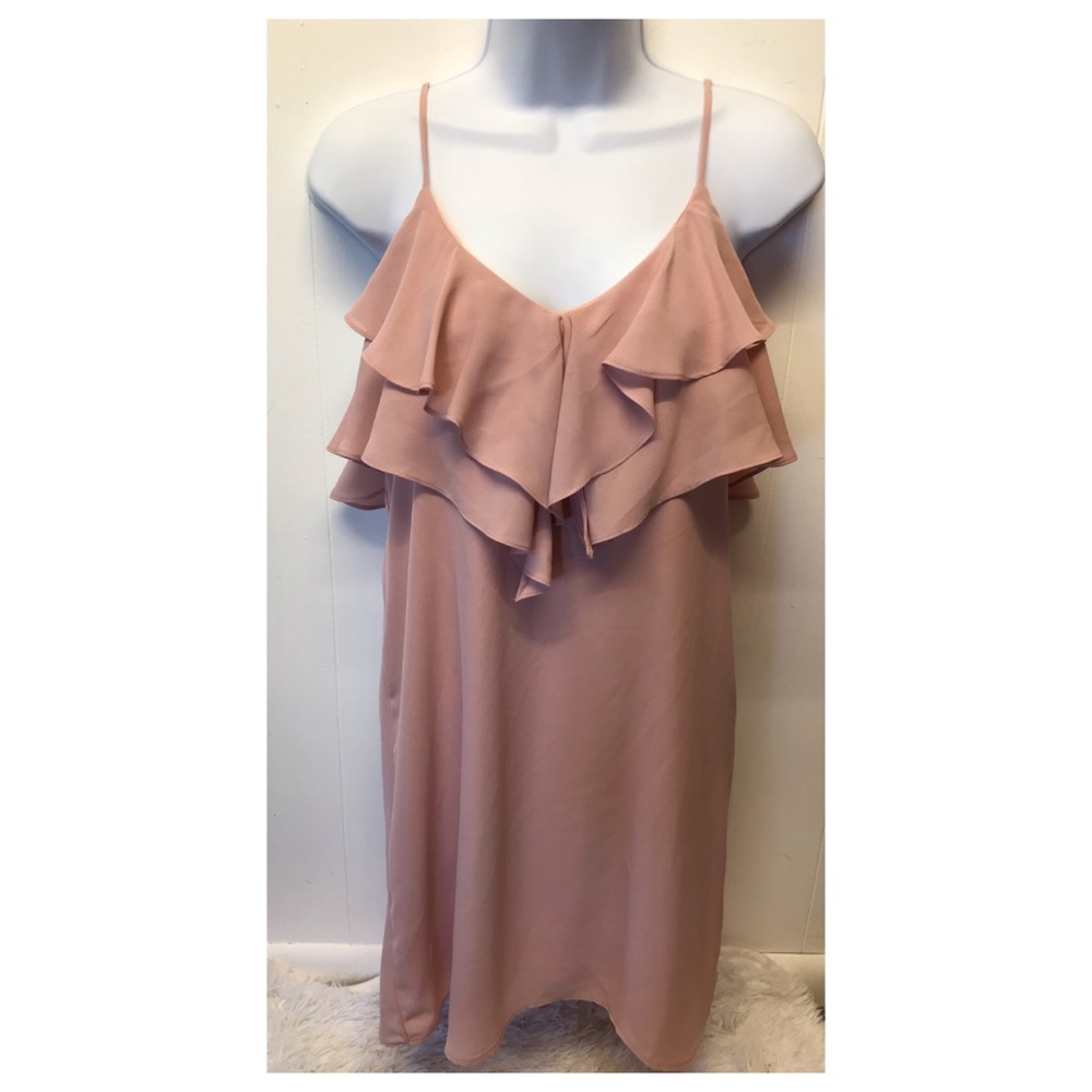 Beautiful EVERLY Dusty Rose Dress w/ slip NWOT